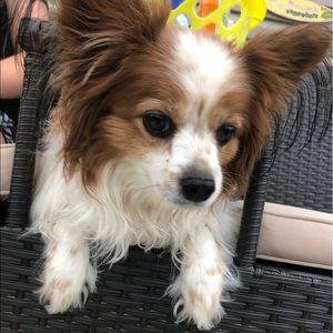 Meet your Posher, Kendall